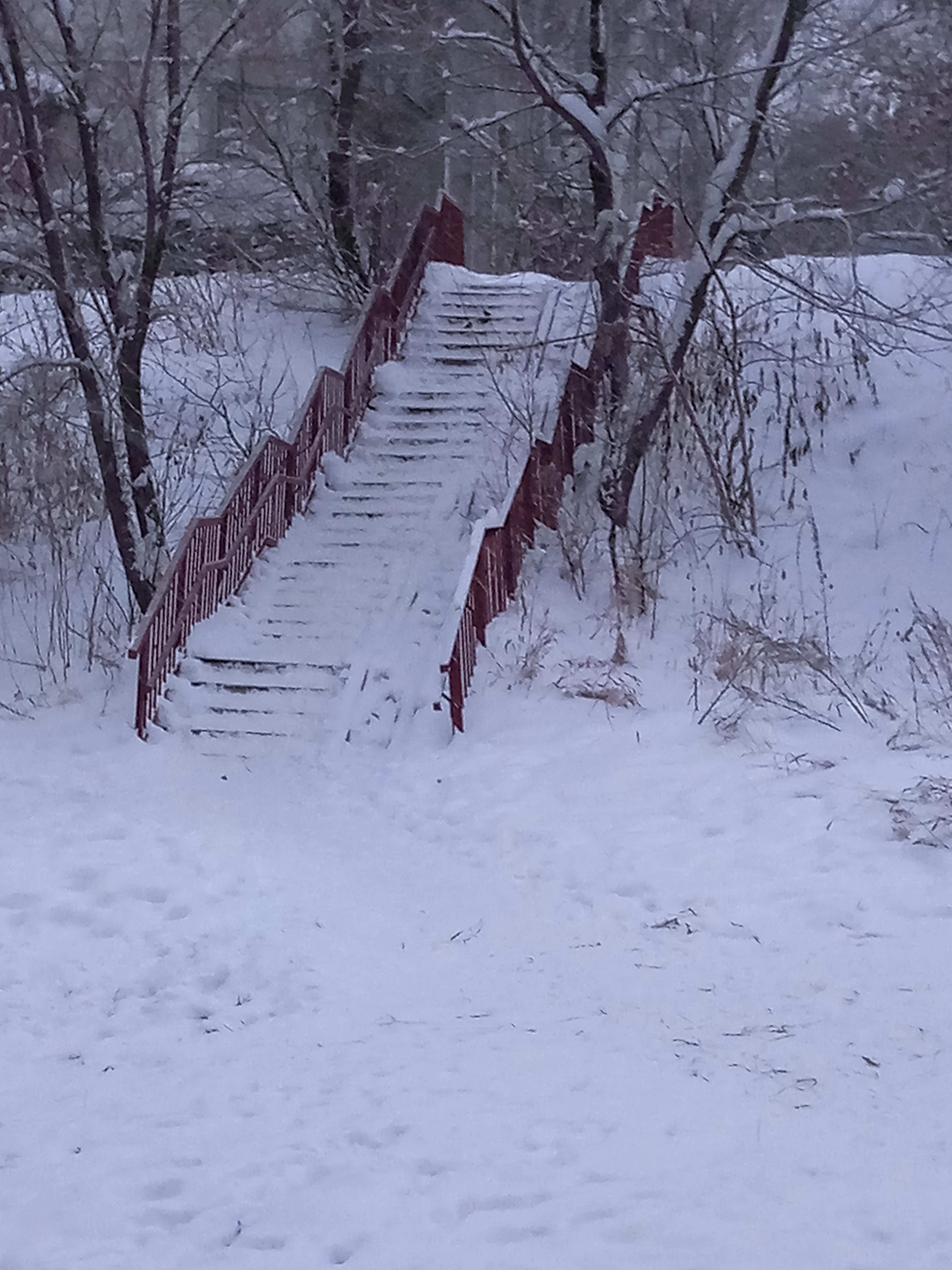 Н-439