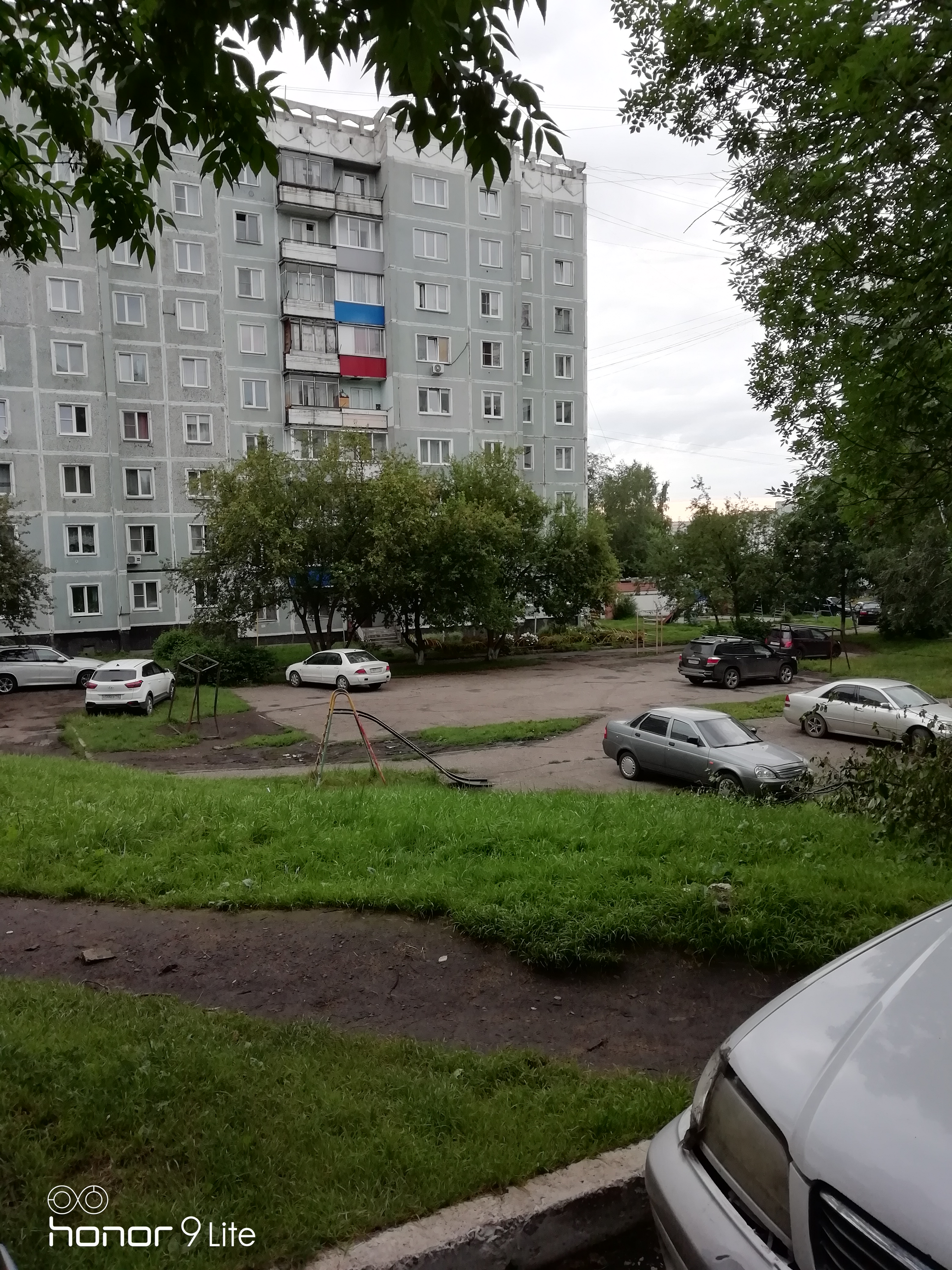 Г-229