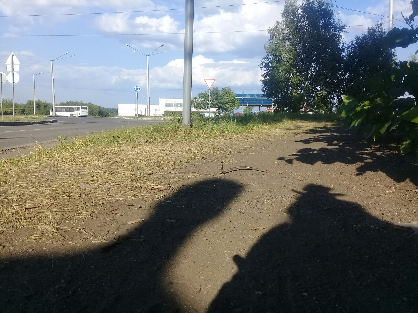 С-303